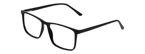 MP 20210